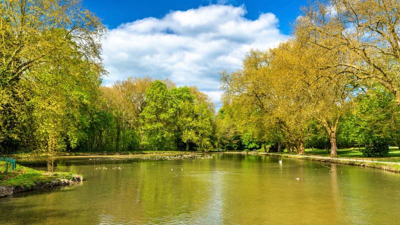 chateau de cheverny en avril